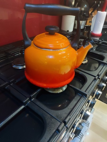 Creuset demi whistling - le,
